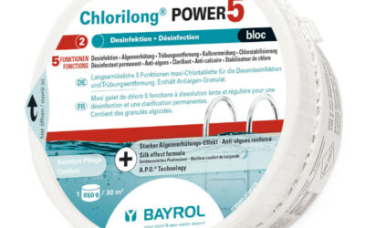 Chlorilong POWER5 bloc 650g