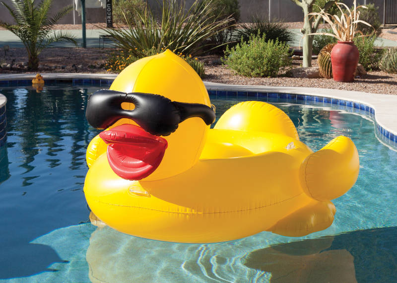 Schwimmente aufblasbar Derby Tuff Duck im Pool Partner Online Shop